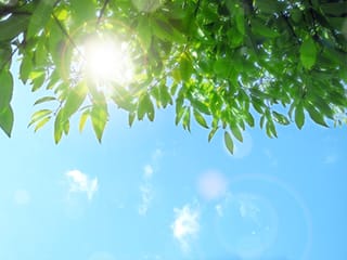 コース紹介